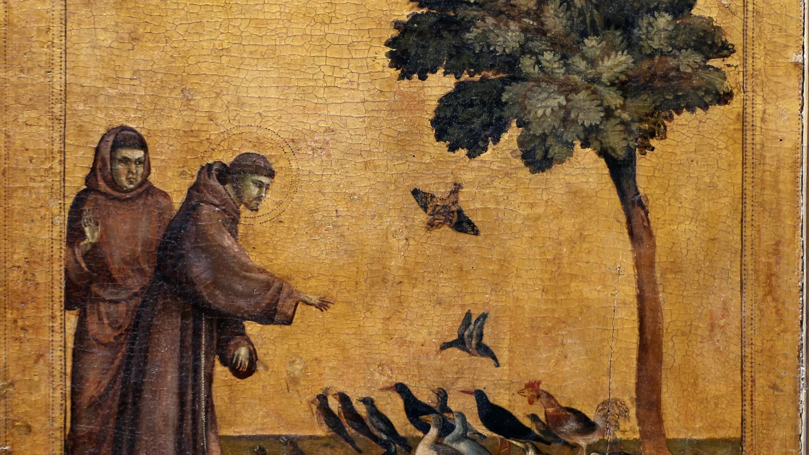 Giotto's St Francis Preaching to the Birds (Louvre panel, c. 1297-1299).