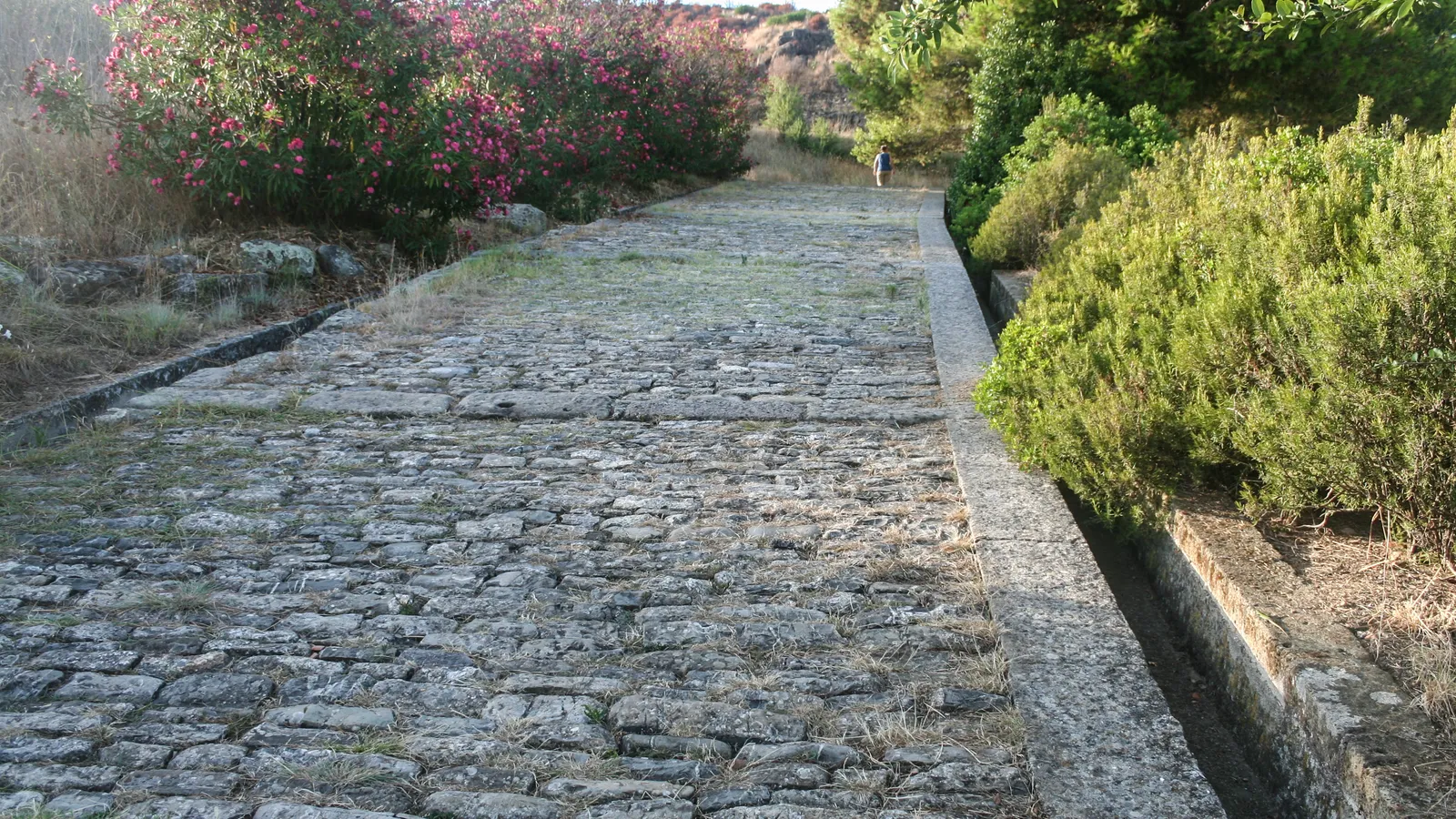 Archaeological remains of the Greek colony of Elea on the Tyrrhenian coast of Italy.